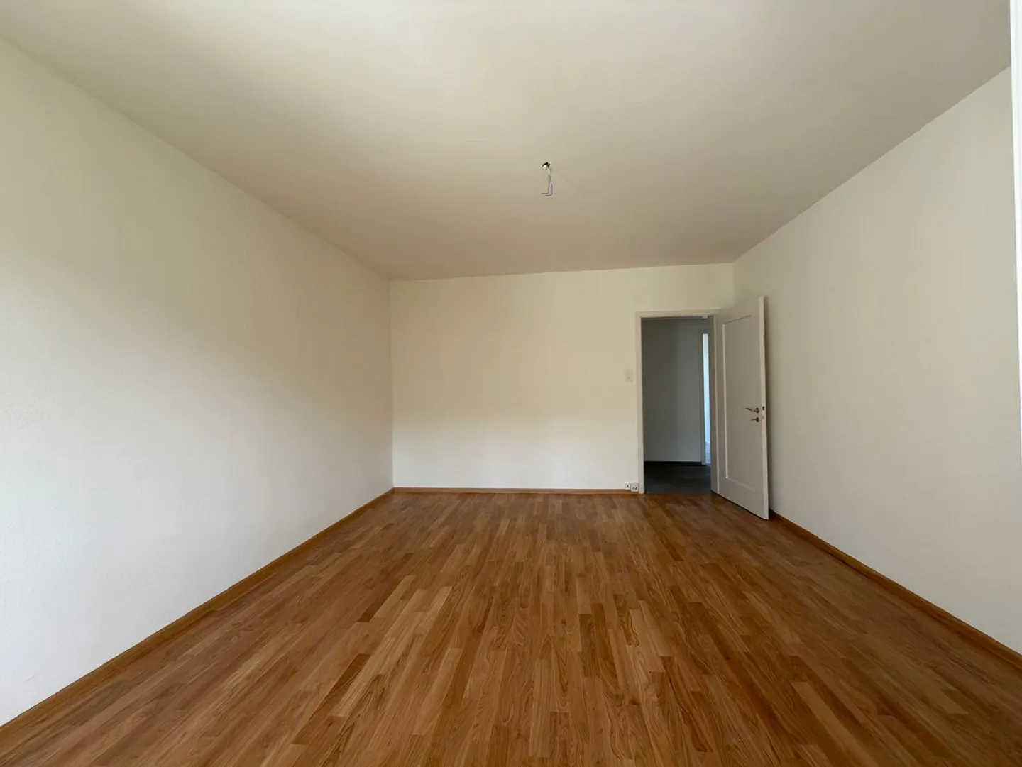 Renovated apartment in a central location in Biel - Photo 1 of 12