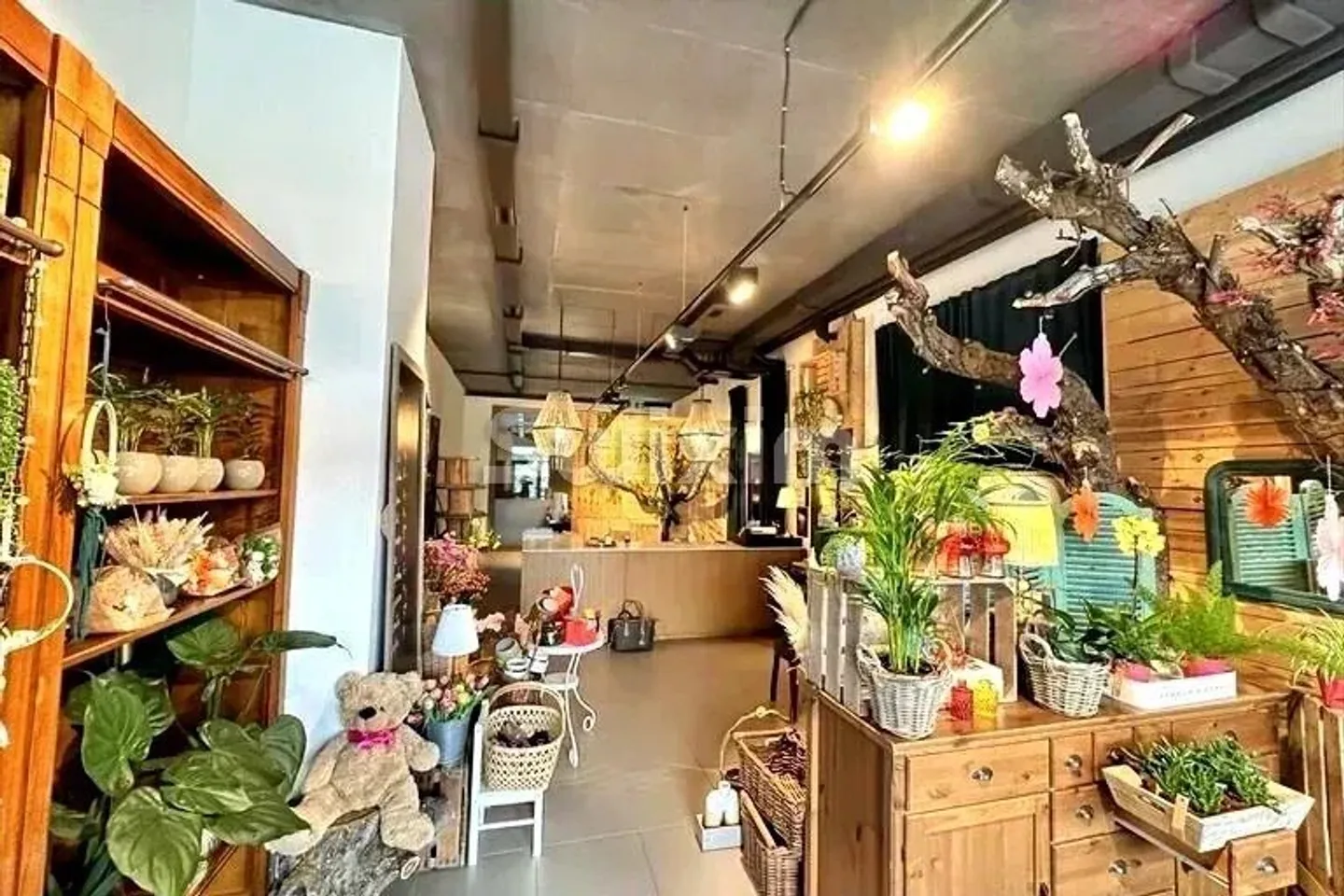Vente - Boutique Meyrin  - Photo 1 sur 5