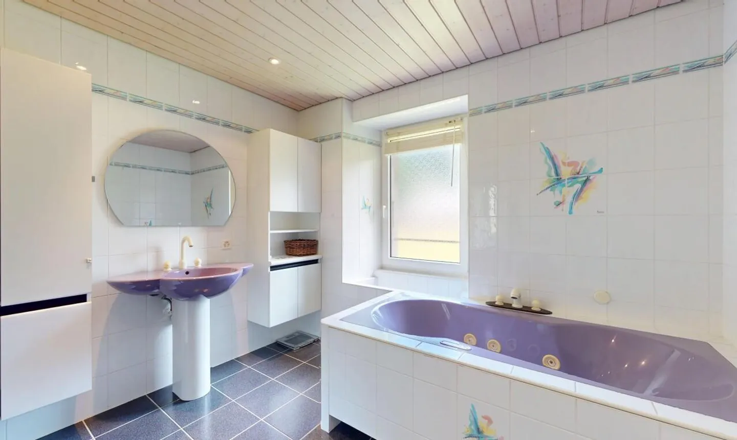 Esclusività: Casa familiare con 2 appartamenti e uno studio a Salvan - Foto 7 di 13