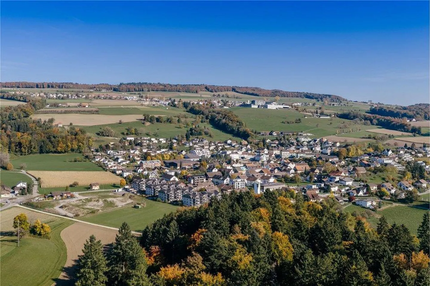 Vivere moderno - circondati dal verde e dalla vastità - Foto 9 di 13