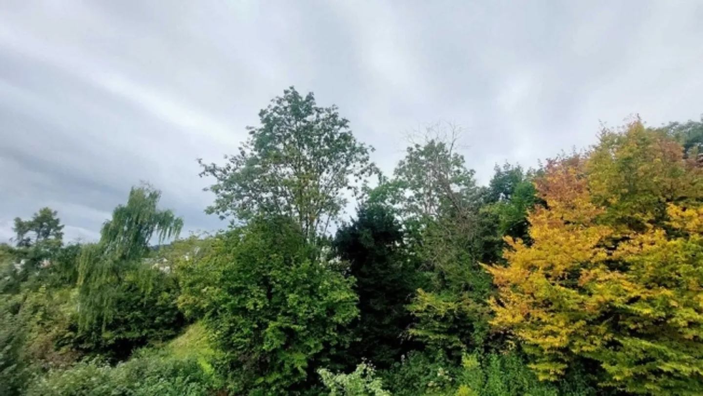 Appartamento in affitto - Foto 8 di 8
