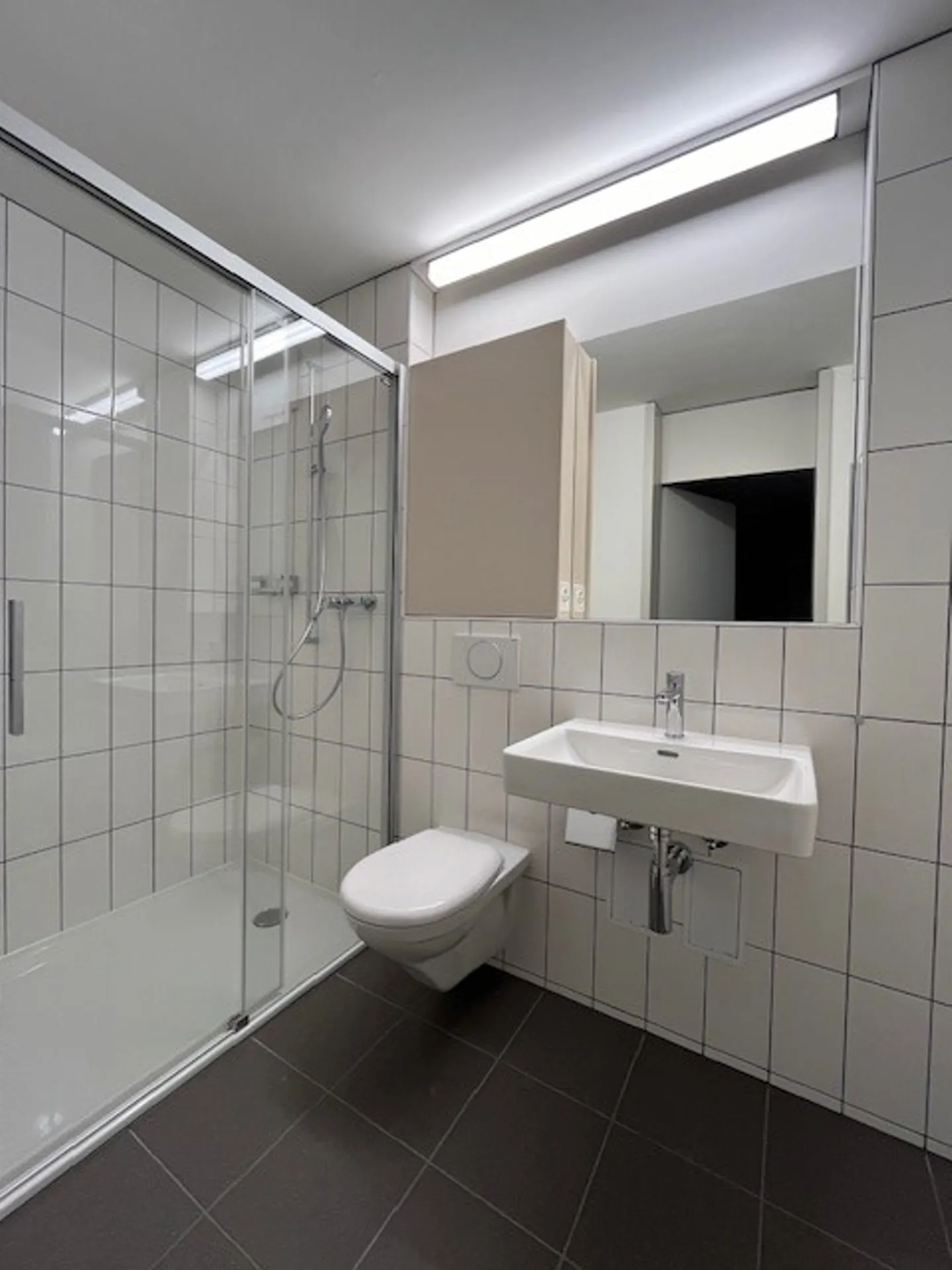 Kürzlich sanierte 2.5-Zimmerwohnung mit toller Aussicht zu vermieten! - Foto 2 von 6