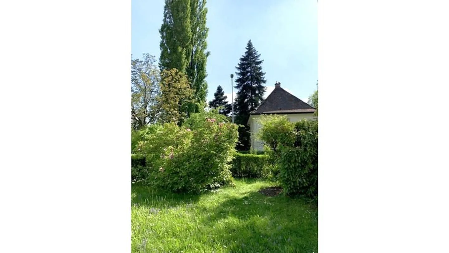 3 ROOM APARTMENT IN WETTINGEN (AG), FURNISHED, TEMPORARY - Photo 8 of 8