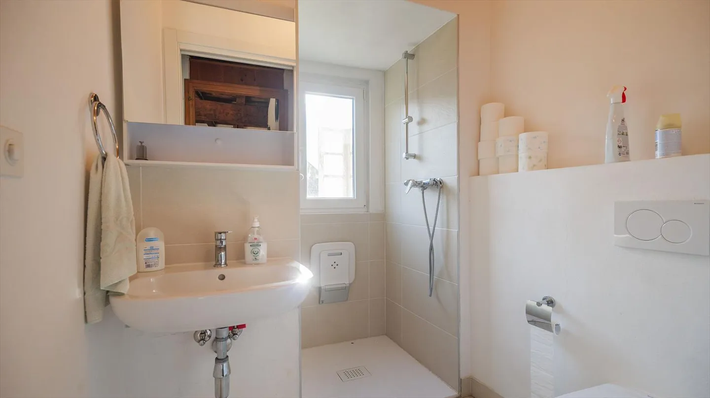 Casa con 4,5 stanze e stalla da ristrutturare a Barbengo - Foto 6 di 9
