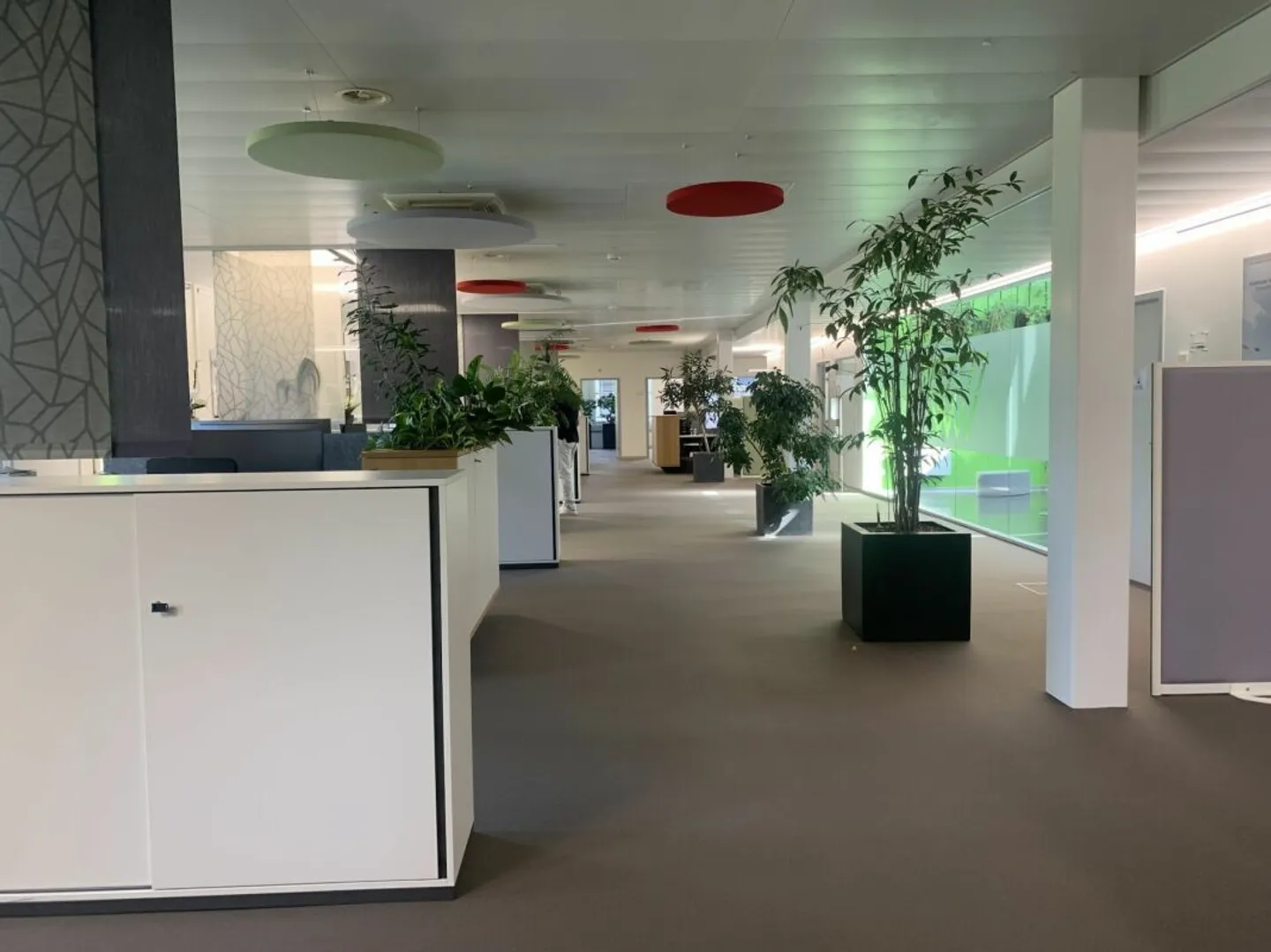 Ufficio di 278 m2 di ottimo livello / affitto economico - Foto 2 di 7