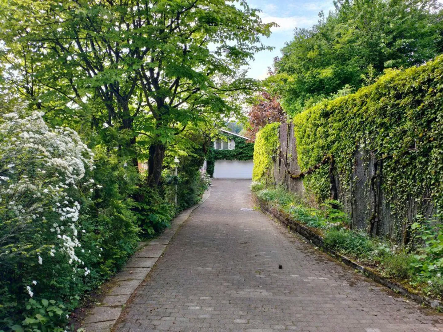 Rarity on the Schaffhausen Vineyard Slope - Living with Maximum Privacy - Photo 7 of 12