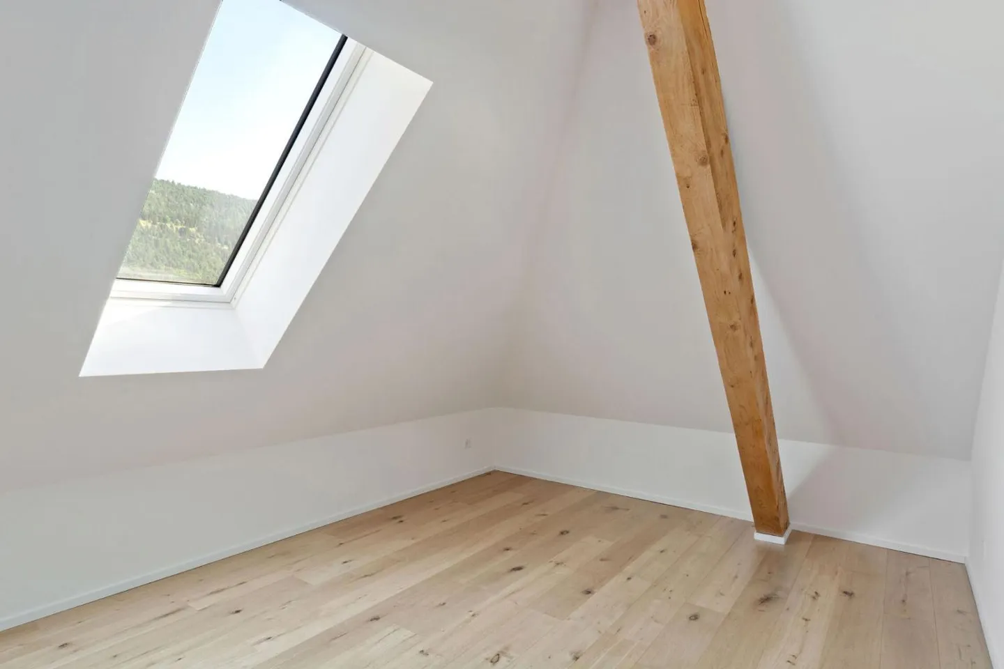 Modern Apartment in Historic Building - Photo 8 of 13