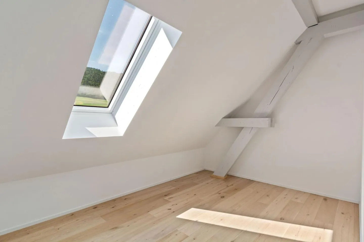 Modern Apartment in Historic Building - Photo 6 of 13