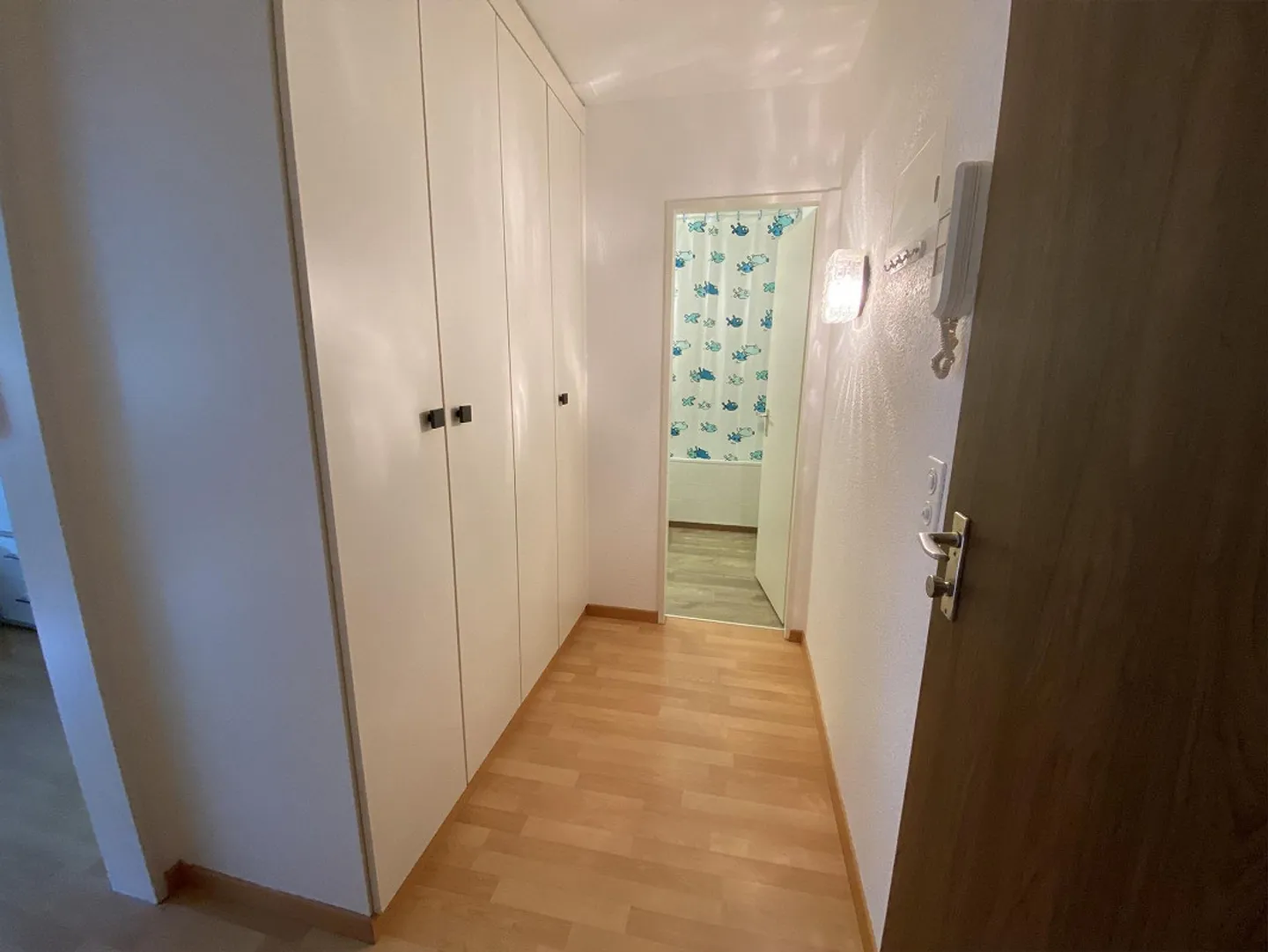 Ampio appartamento di 1,5 stanze a Herisau - Foto 3 di 7