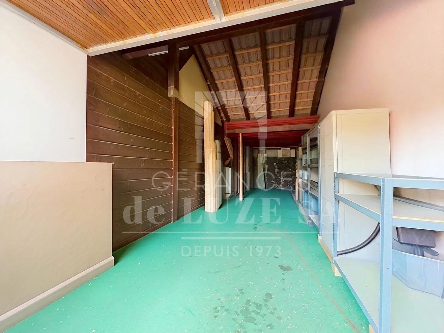 Charming Family Villa in Bellevue - Photo 24 of 29