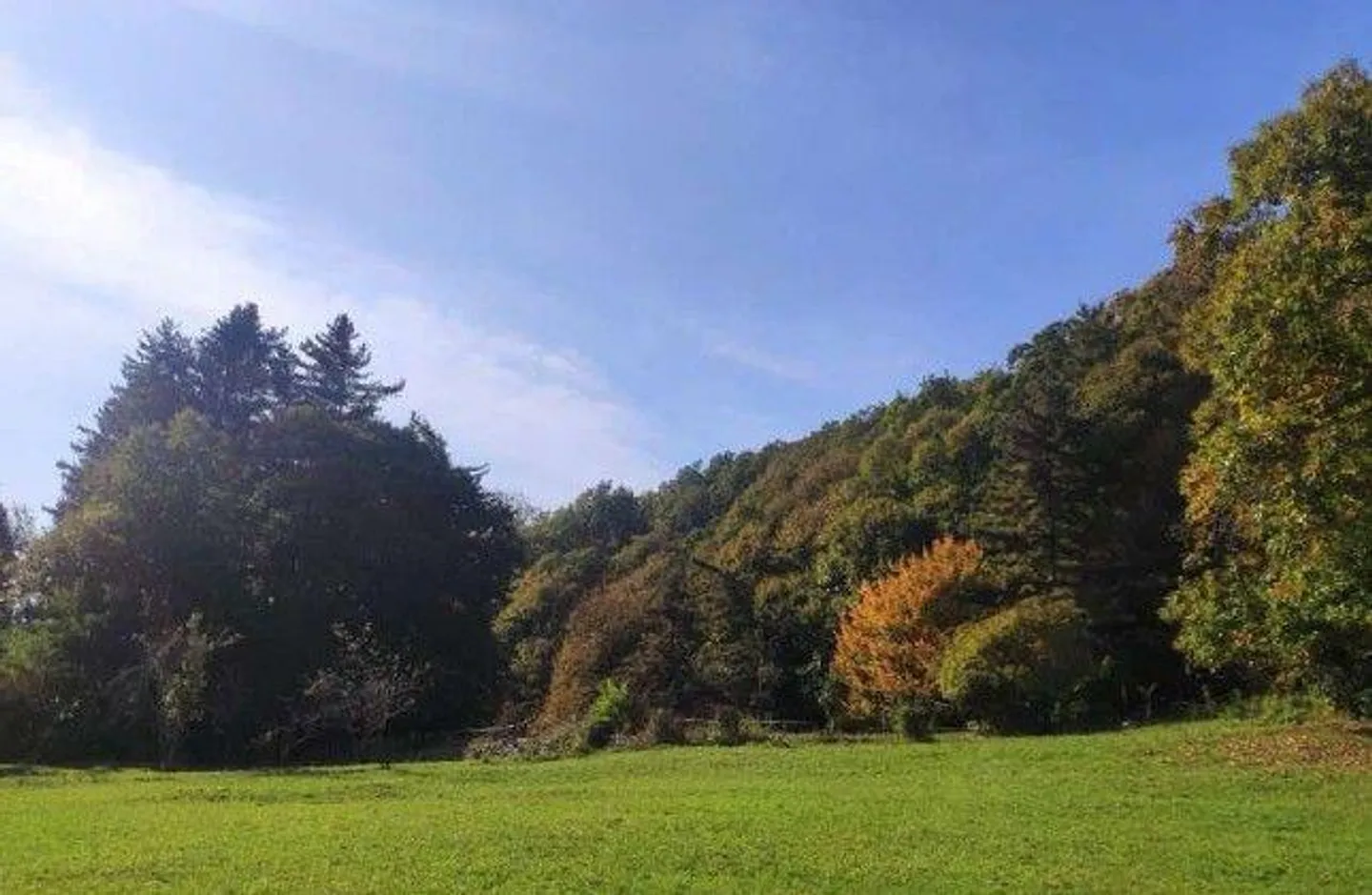 Terrain - Photo 2 sur 13