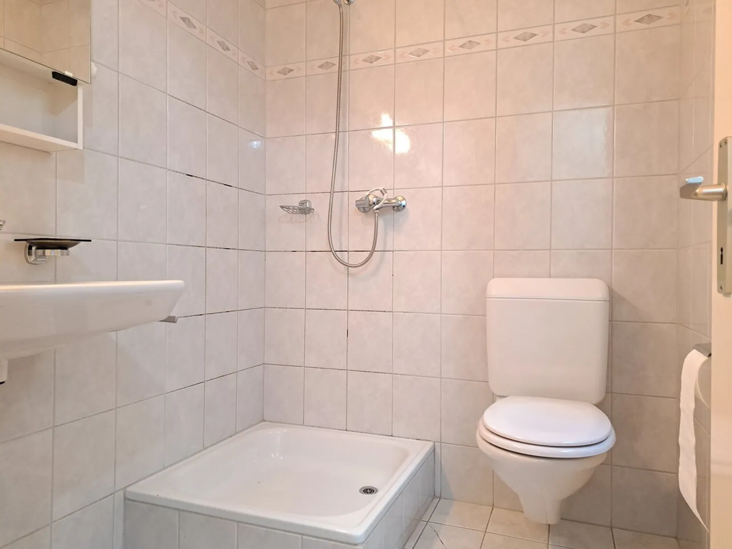 Attico in affitto - Foto 6 di 11