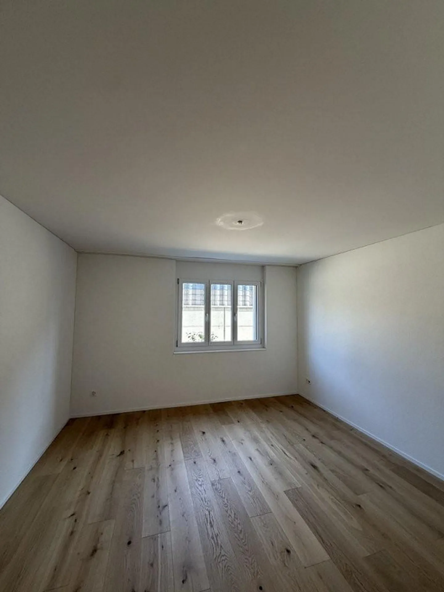 Charming 3.5-room apartment with garden seating area in Oberbipp - Photo 3 of 8
