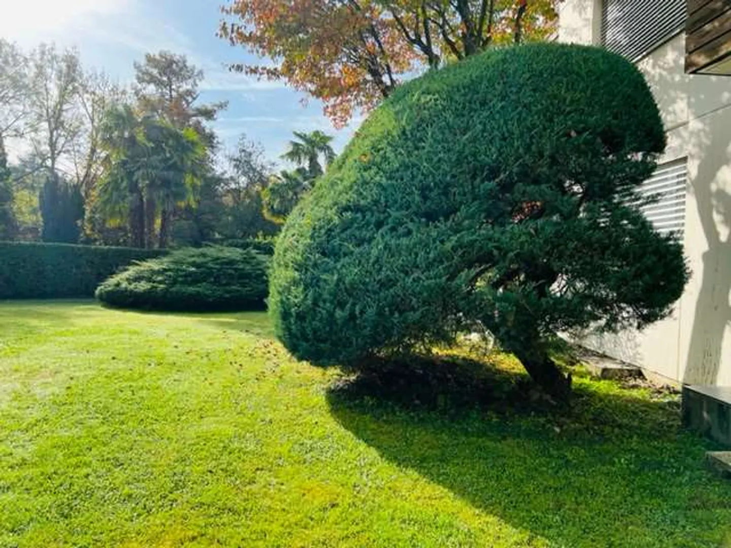 Appartement confortable de 4,5 pièces avec jardin - Photo 11 sur 13