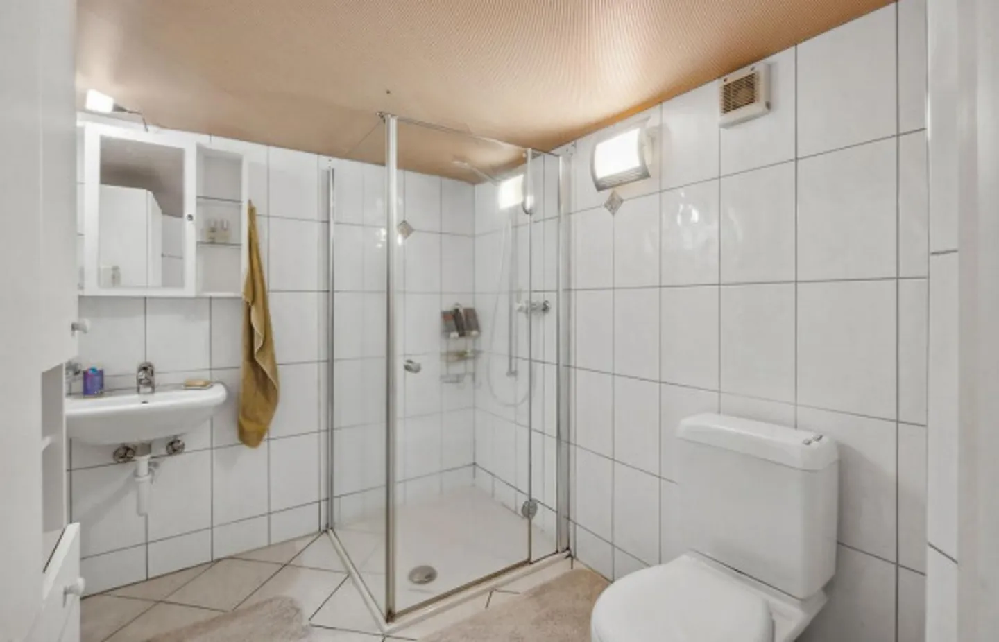 Incantevole casa unifamiliare di 8,5 stanze a Haag / Rheintal - Foto 9 di 12