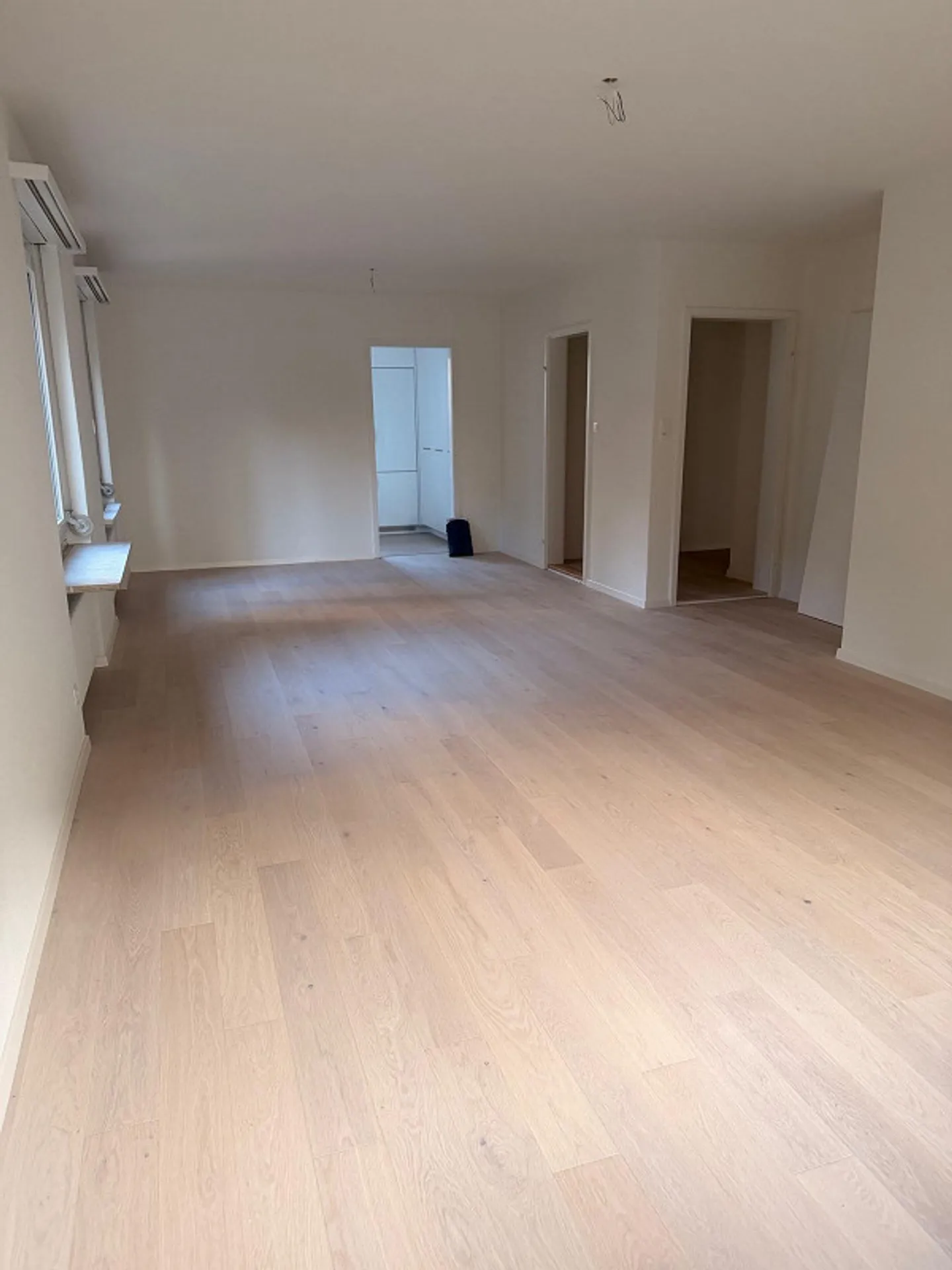 Newly Renovated Garden Apartment - Photo 3 of 12