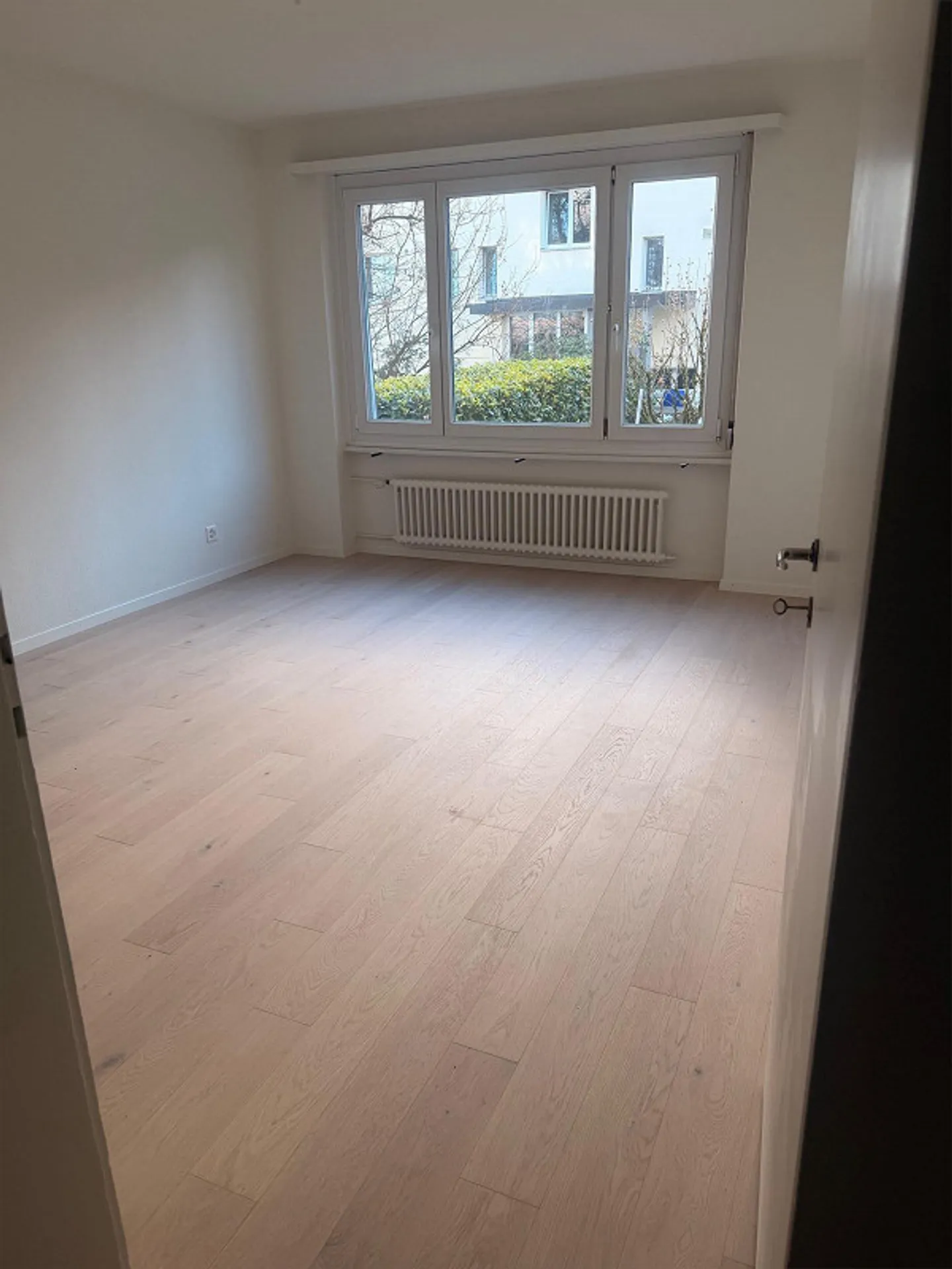 Newly Renovated Garden Apartment - Photo 9 of 12