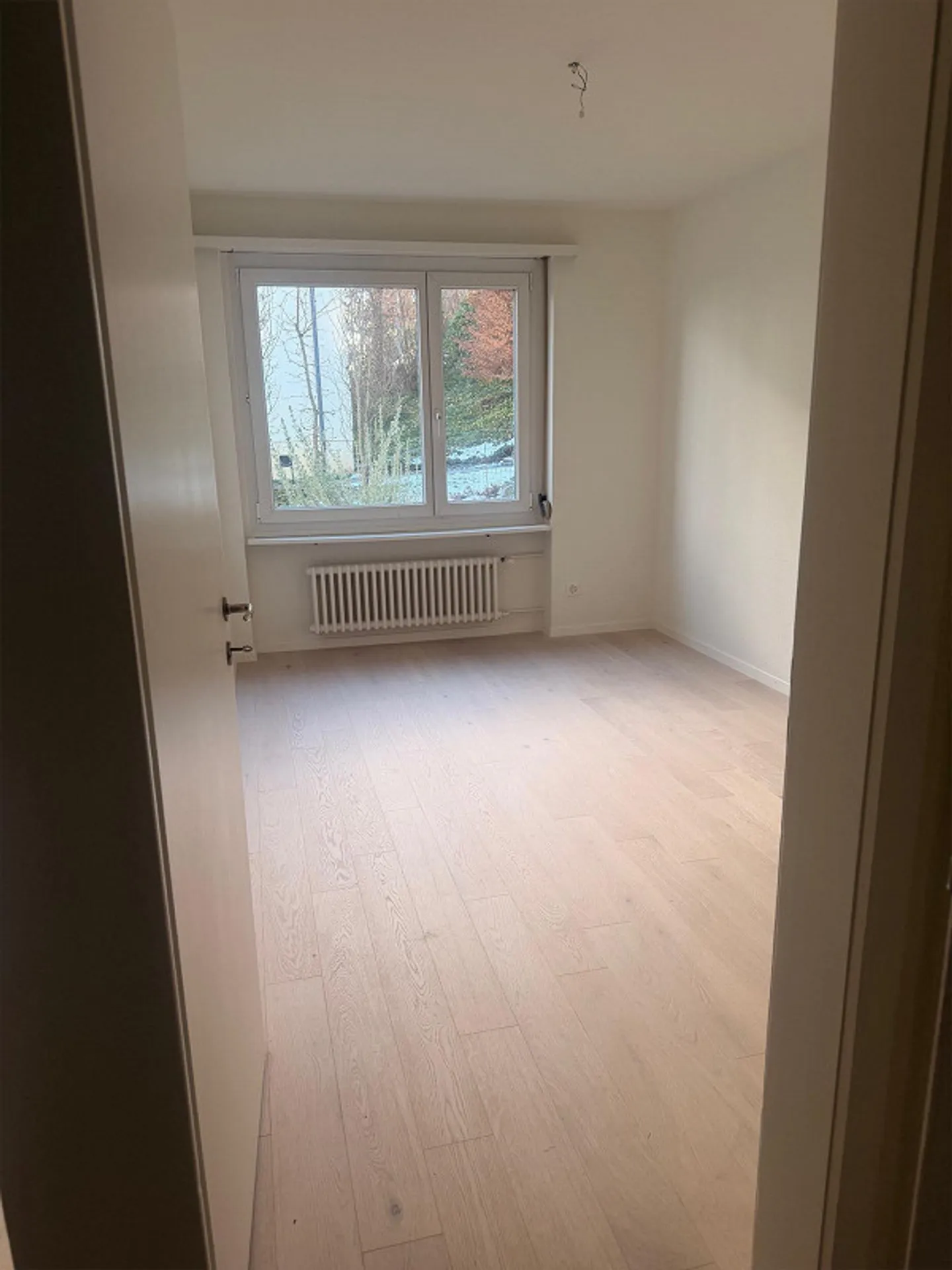 Newly Renovated Garden Apartment - Photo 10 of 12