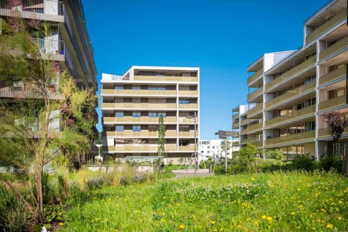 Nachhaltiges Zuhause in Luzern - Foto 1 von 5
