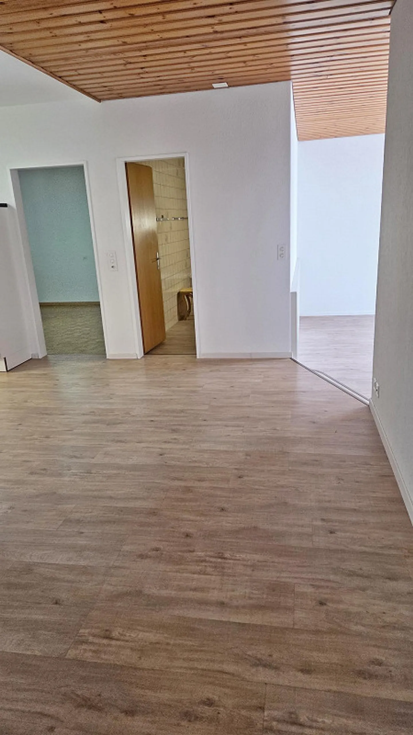 Renovierte 5.5-Zimmer Wohnung - Foto 4 von 15