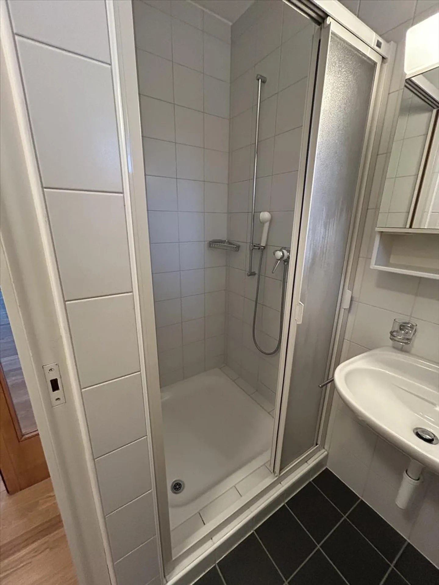 Appartamento luminoso e spazioso direttamente alla stazione di Ins - Foto 5 di 12