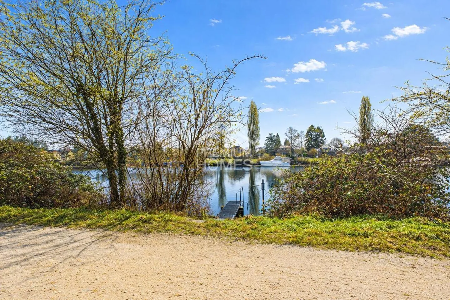 Nature pure au bord de l'Aare - Photo 2 sur 7