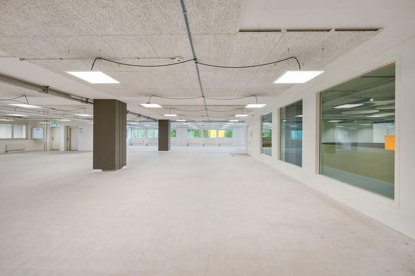 Office space directly on the banks of the Rhine at the Three Country Corner - Photo 3 of 8