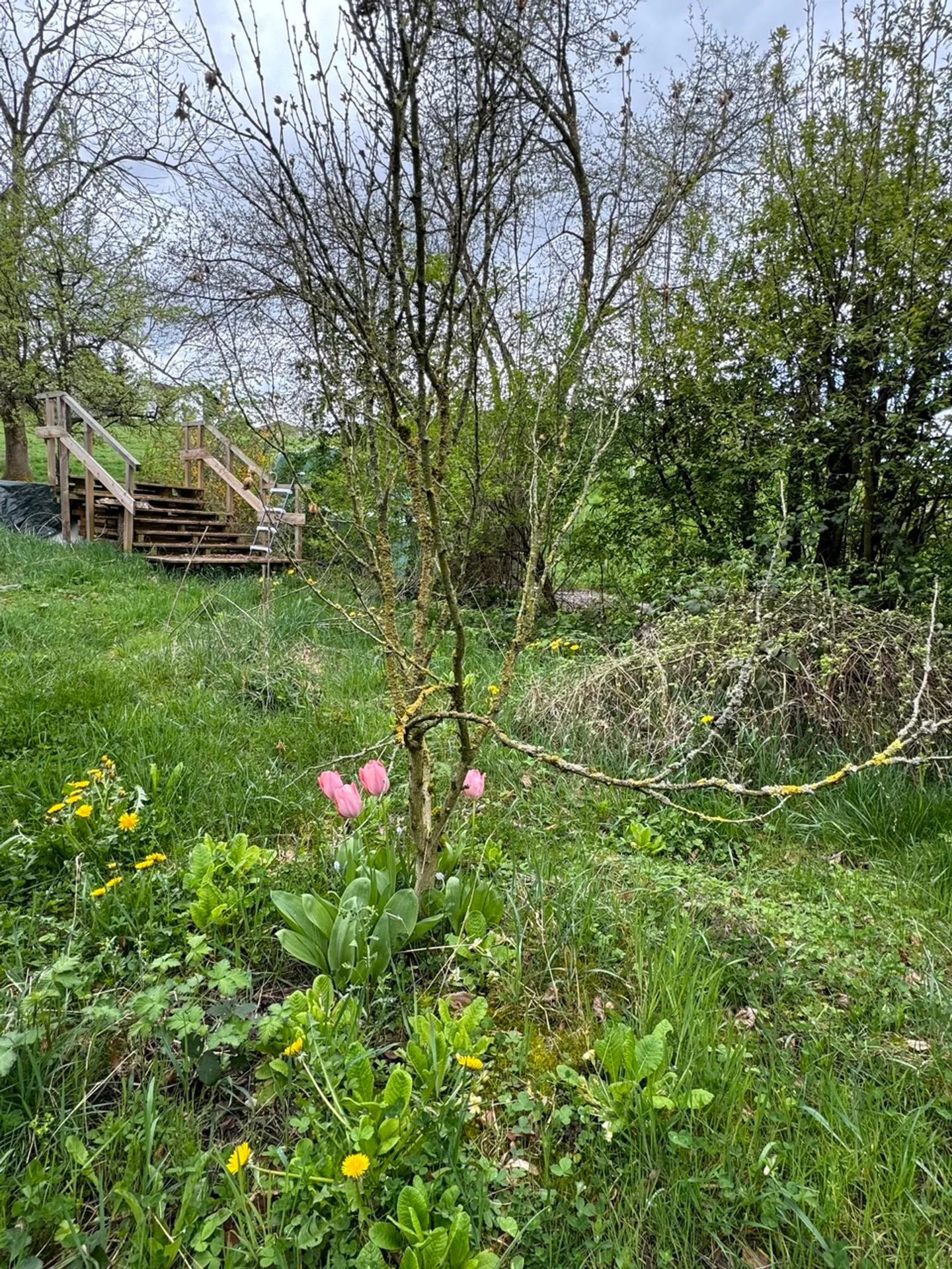 Fattoria caratteristica con 3 appartamenti - Foto 4 di 33