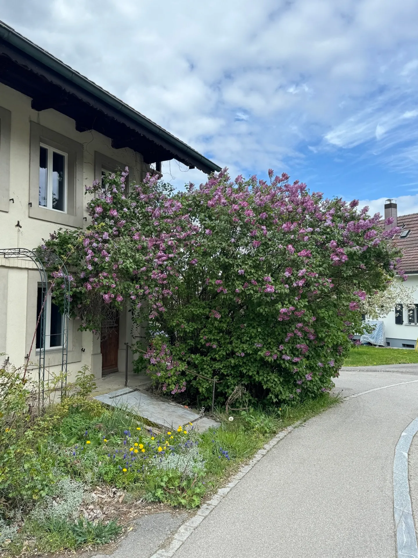 Fattoria caratteristica con 3 appartamenti - Foto 2 di 33