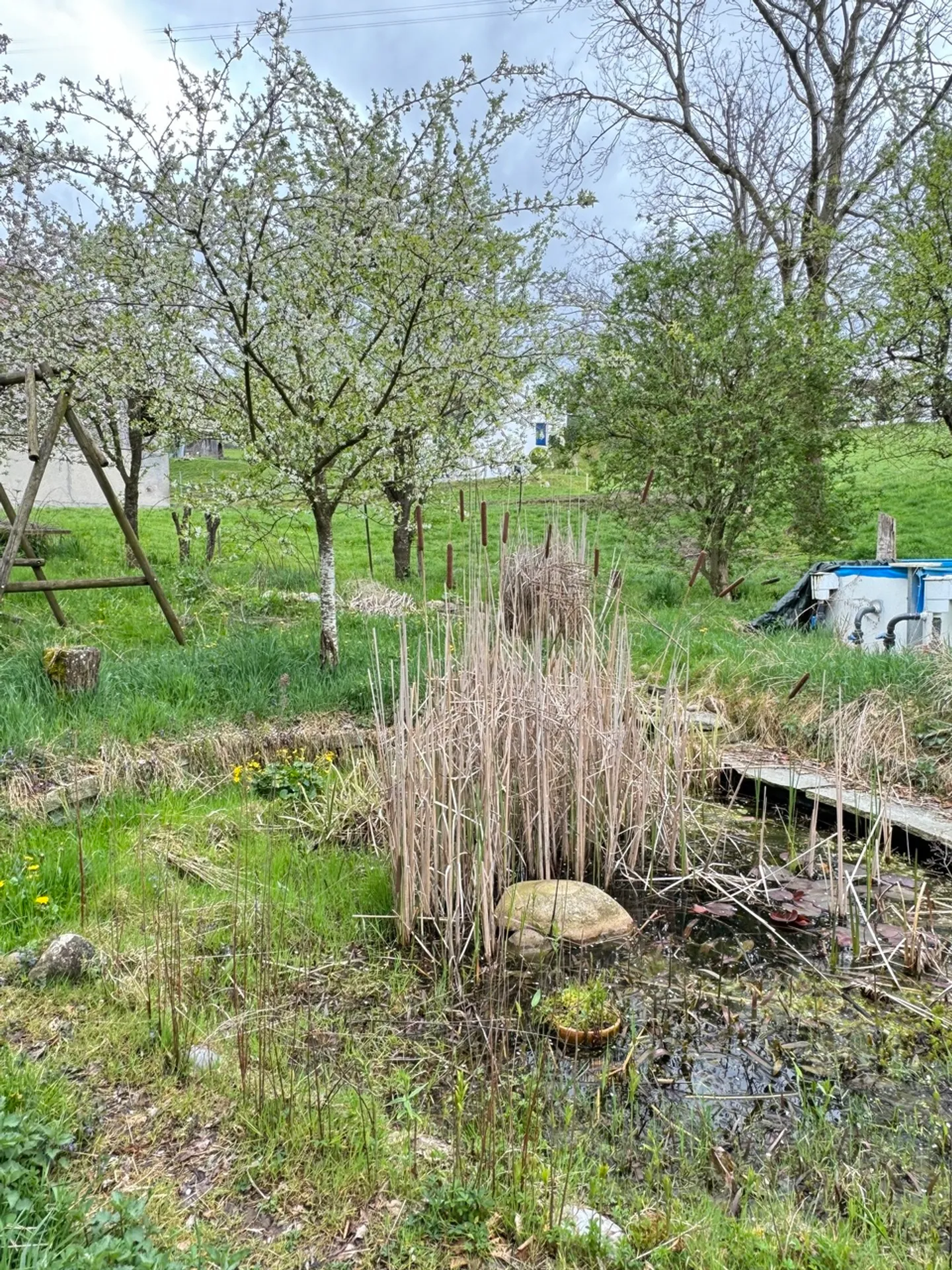 Fattoria caratteristica con 3 appartamenti - Foto 10 di 33