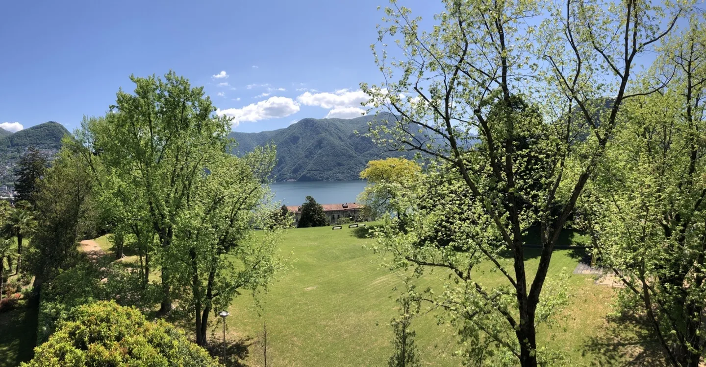 Beautiful apartment in the green, just steps from the center - Photo 4 of 12