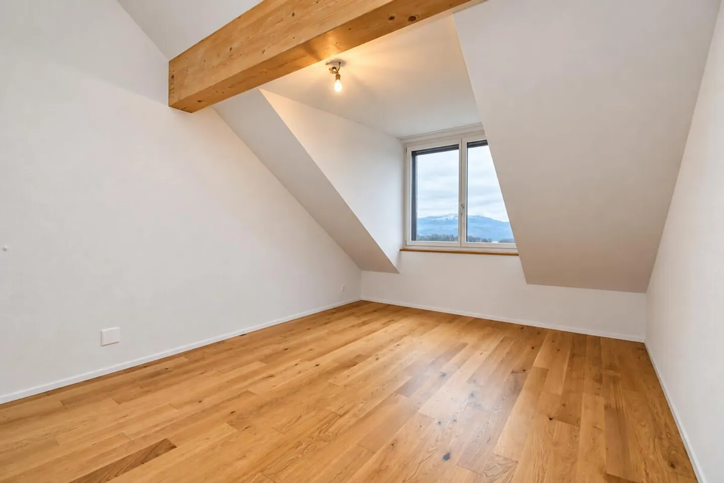Versatile Attic with Private Bathroom - Photo 1 of 4