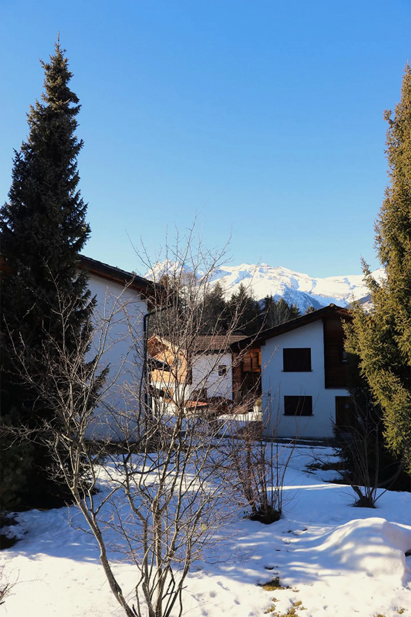 Skiing to the front door - Photo 15 of 20