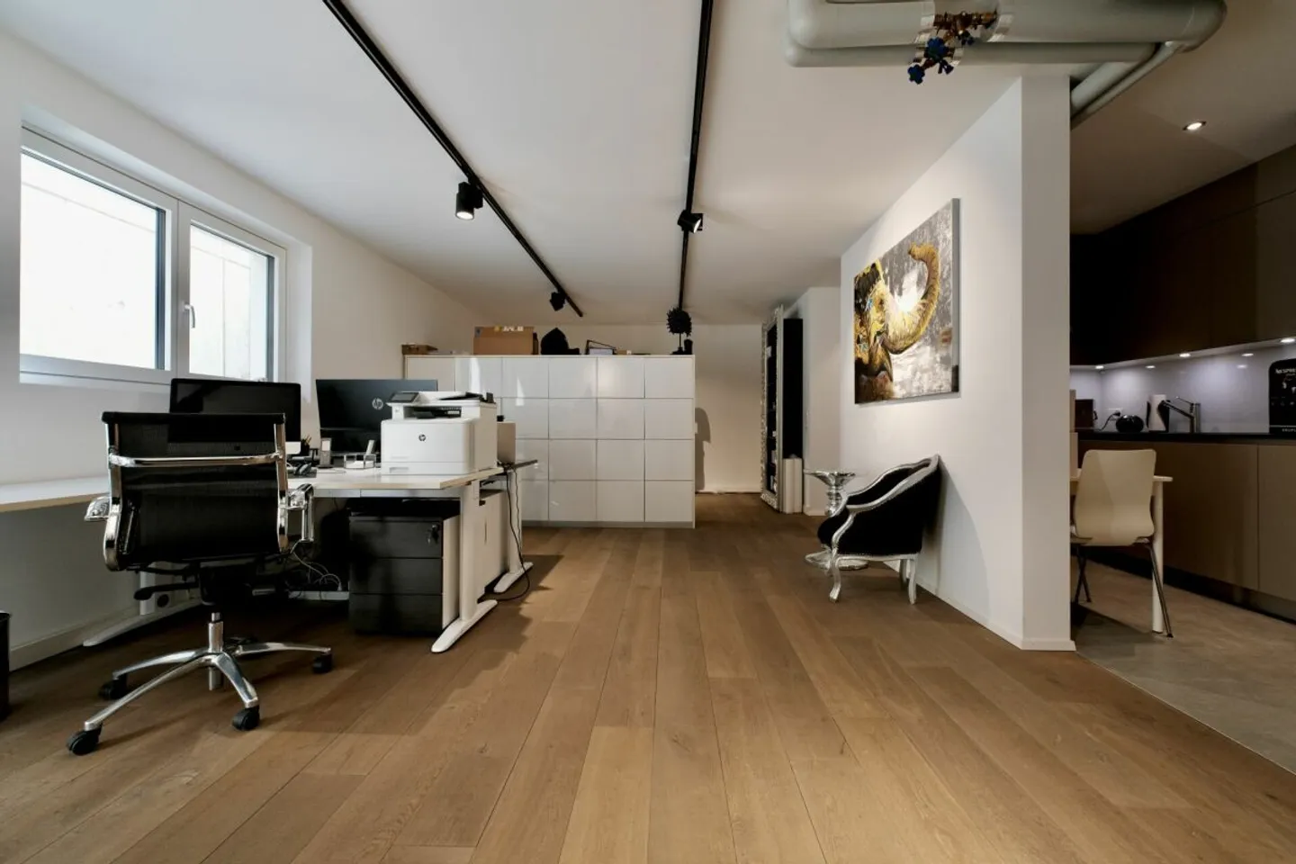 Vielseitig nutzbares 2.5-Zimmer-Studio - Wohnen, Büro, Atelier oder Praxis mit modernem Ausbaustandard - Foto 3 von 10