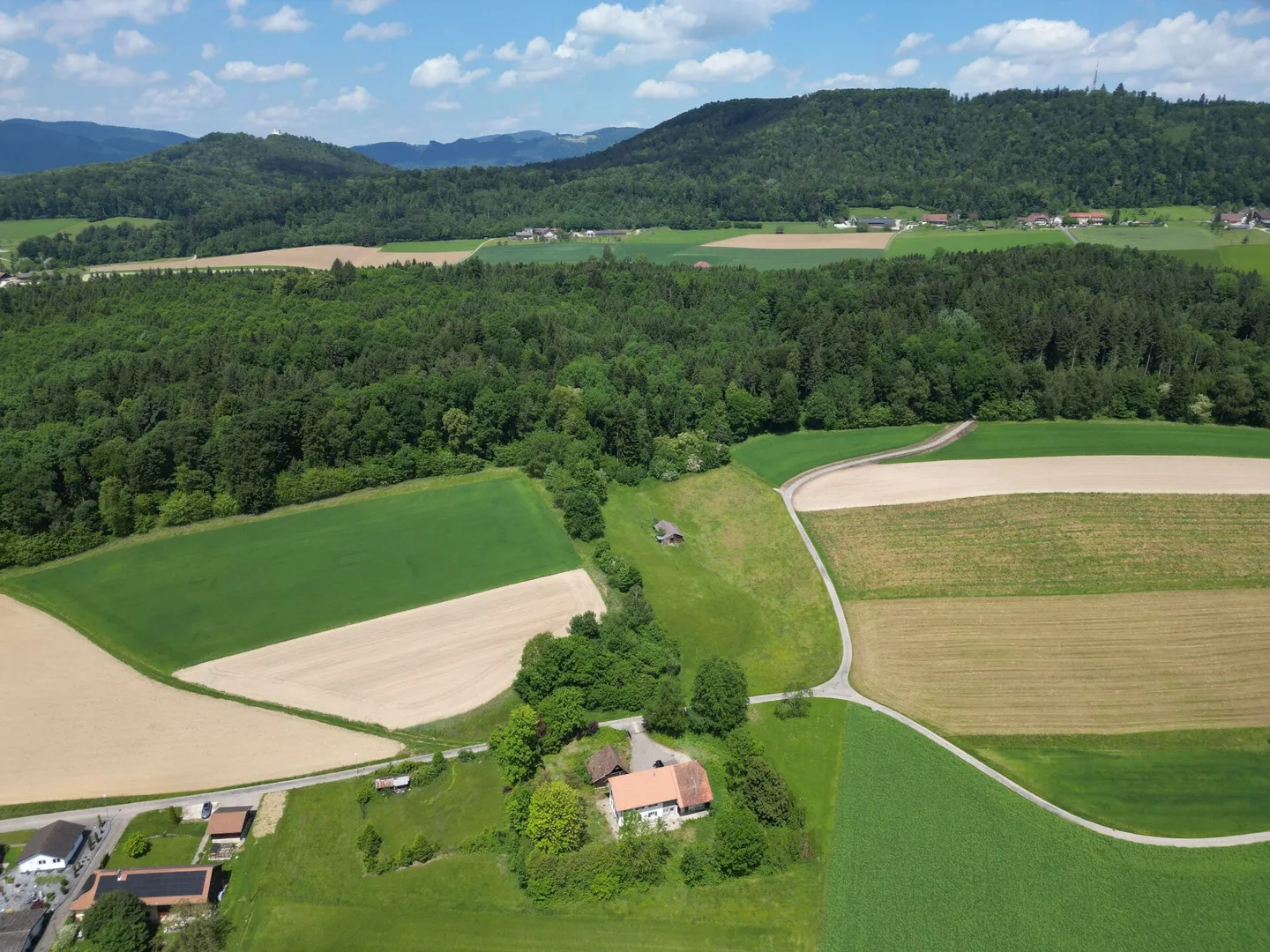 Nuova costruzione con due appartamenti moderni di 4,5 stanze, soffitta ampliabile e parte stalla su un terreno totale di oltre 4'200 m² - Foto 20 di 35