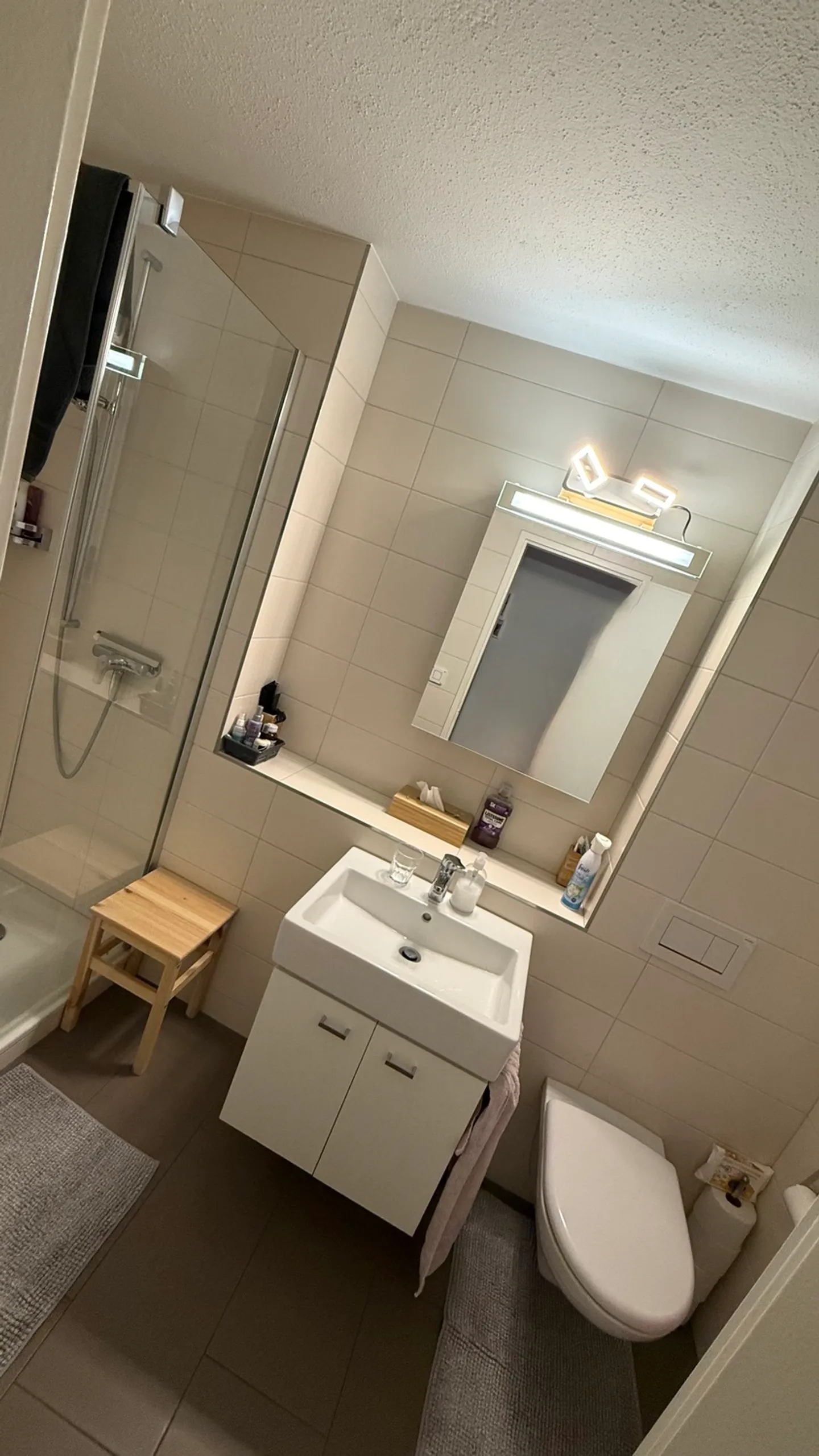 APPARTAMENTO 3 LOCALI A GOSSAU (ZH), ARREDATO, TEMPORANEO - Foto 5 di 6