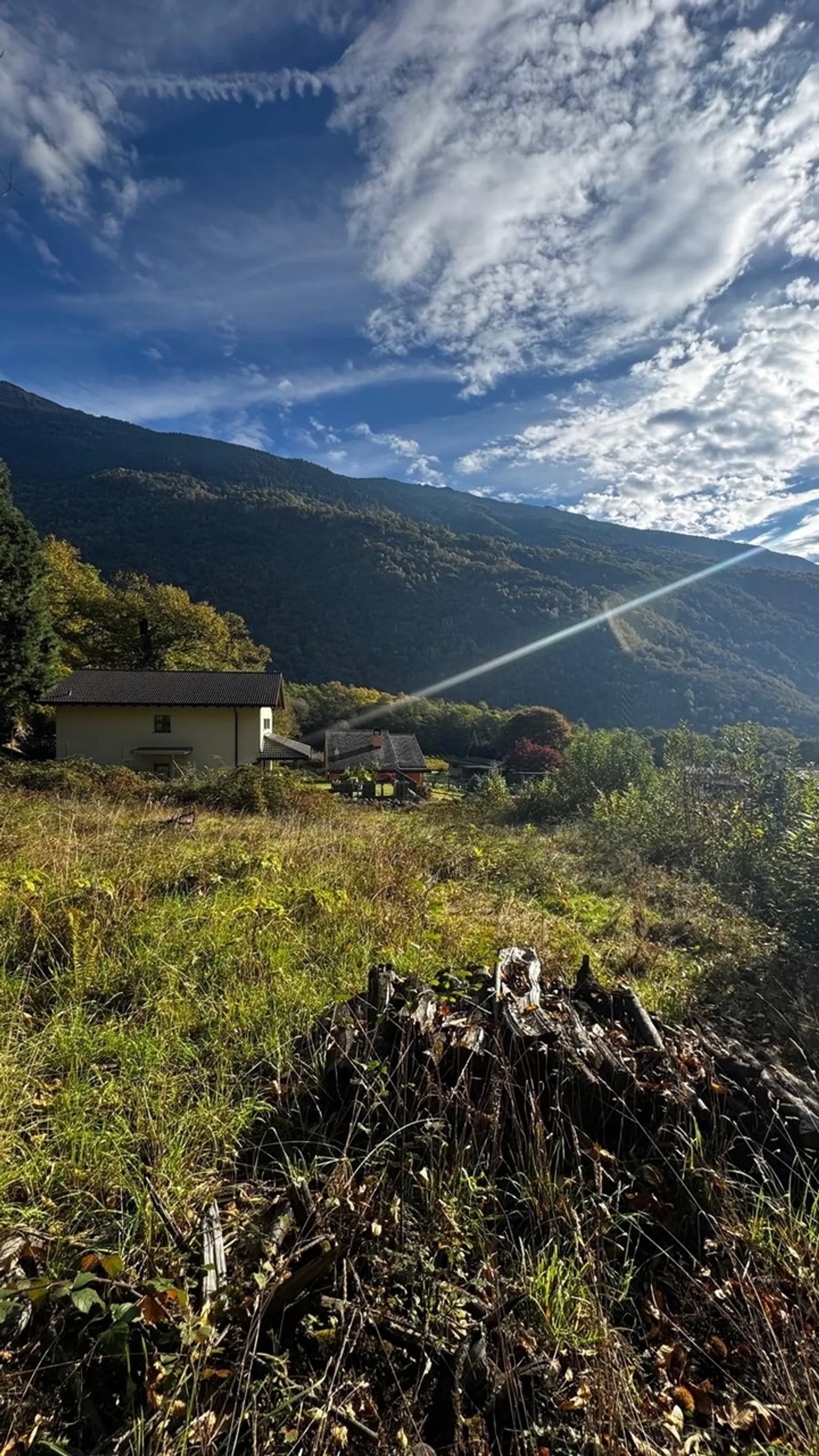 Terreno edificabile con piscina naturale a Giornico - Residenza primaria - Foto 6 von 7