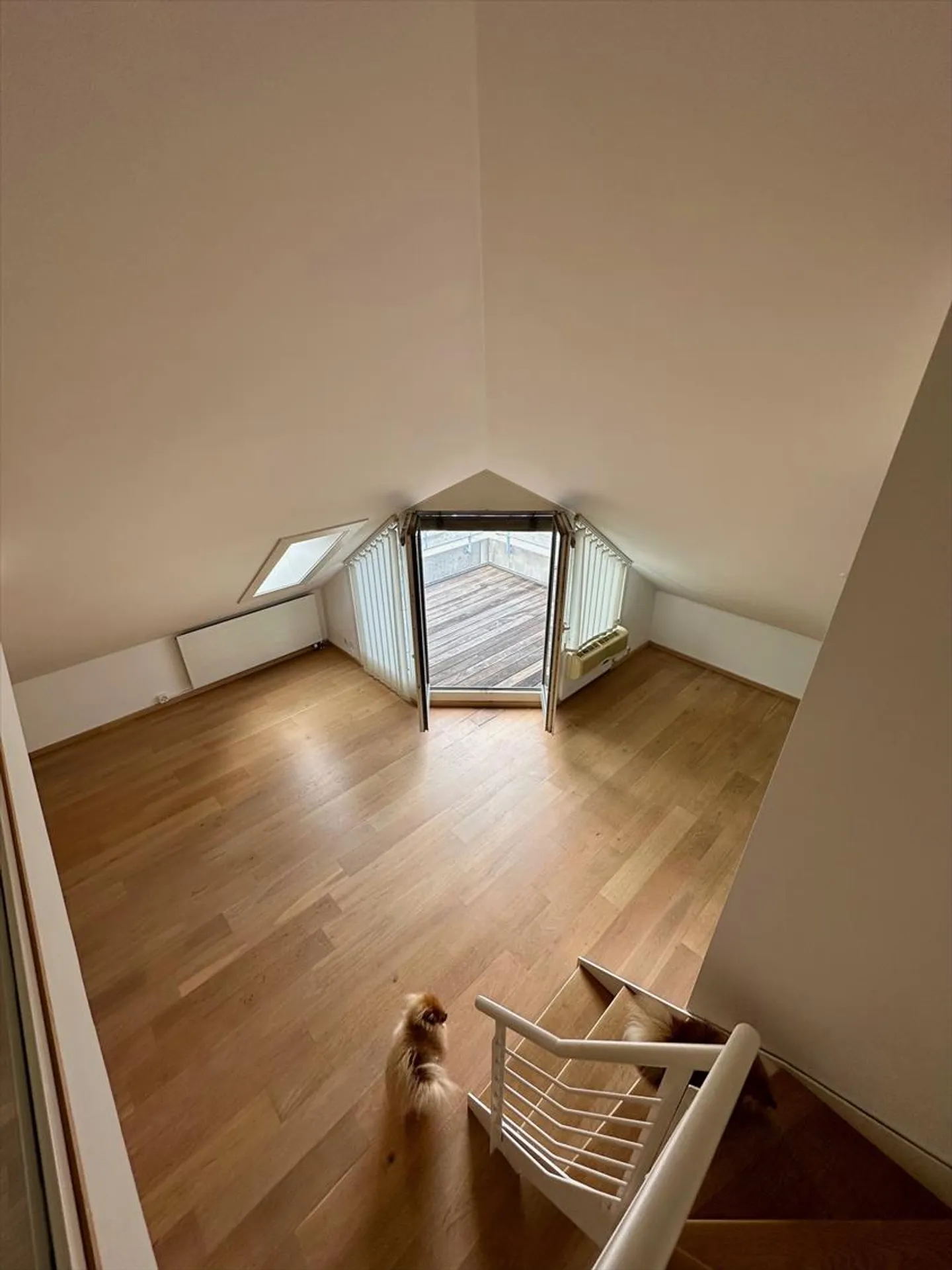 Attic 3 rooms - Photo 12 of 20