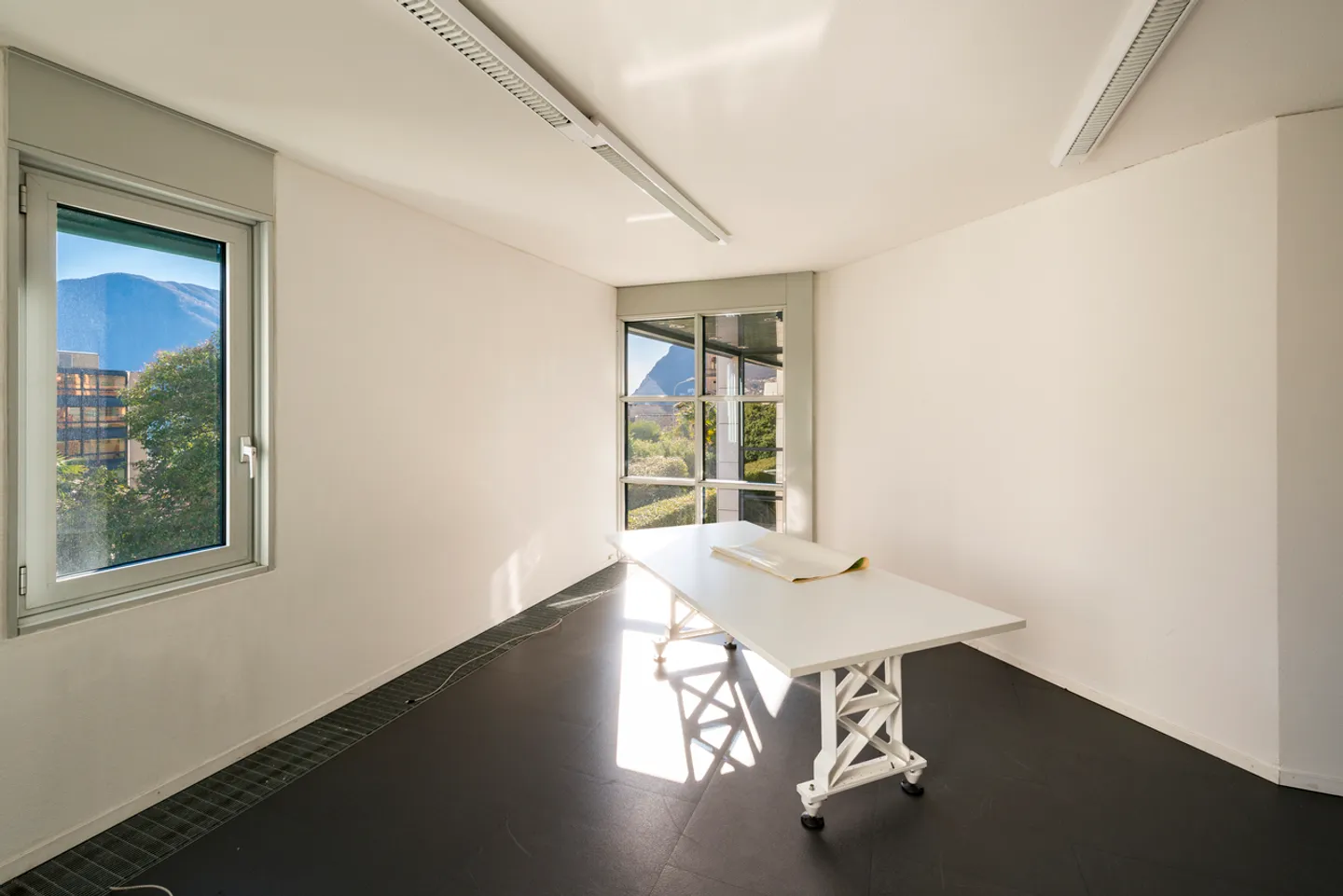 Spazioso immobile con potenziale residenziale nel cuore di Lugano - Foto 6 di 8