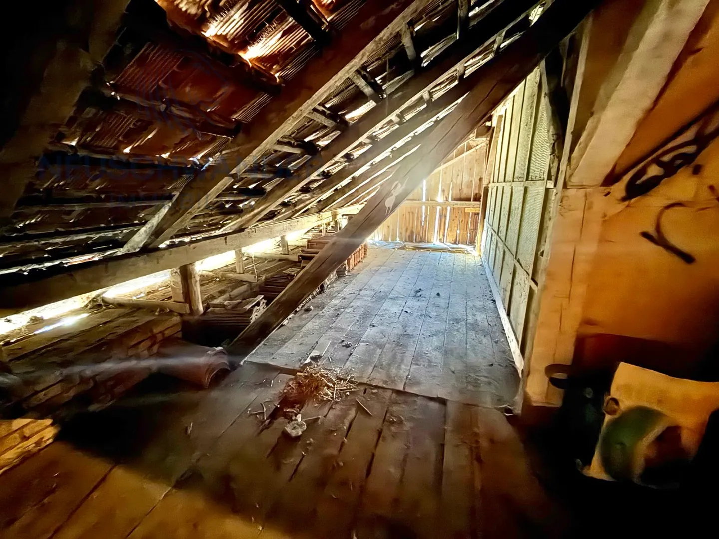 Edificio con 2 appartamenti affascinanti tra natura e comodità - Foto 5 di 21