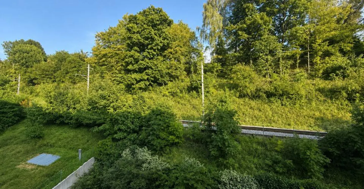 Charmante Wohnung in Vevey - Foto 3 von 8