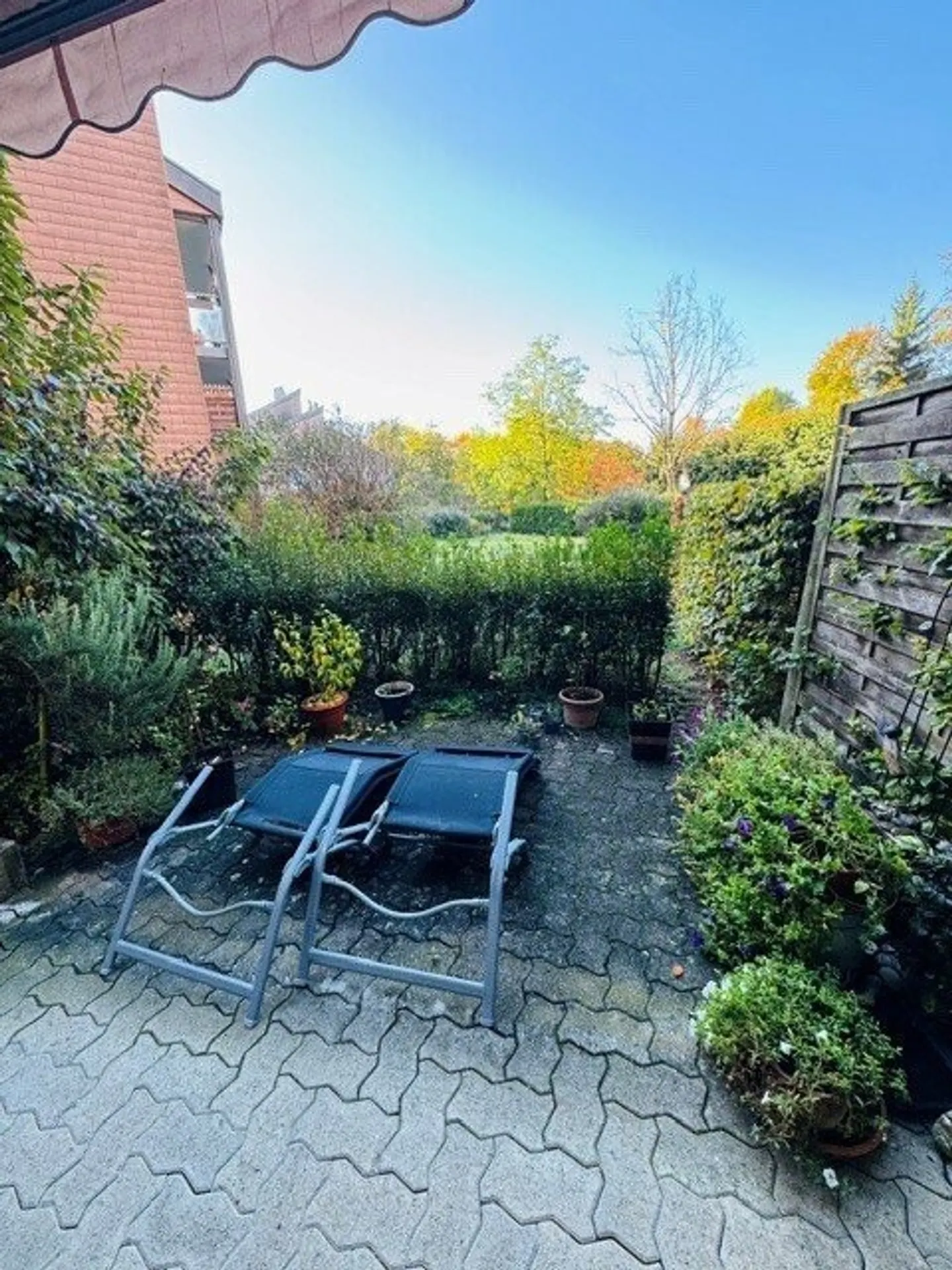 Appartamento spazioso con giardino - Foto 3 di 9