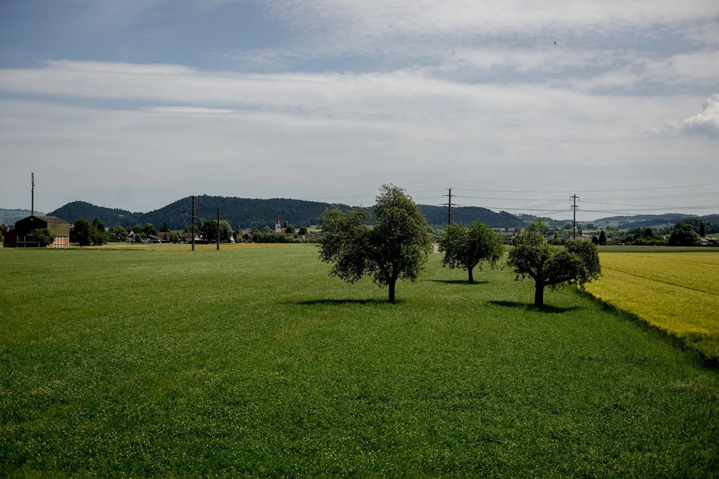 Condominium pour la Vie - Photo 7 sur 13