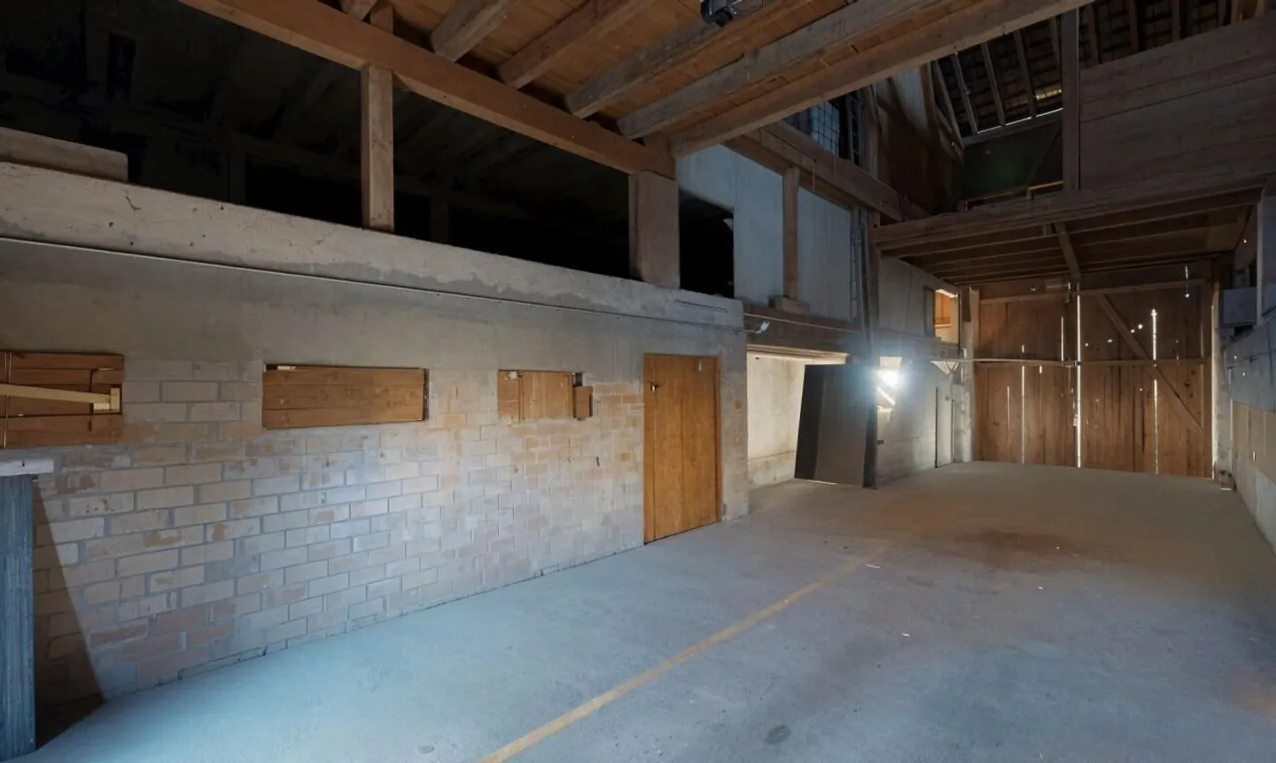 Fienile autentico da trasformare? Progetto immobiliare ad alto potenziale - Foto 3 di 11