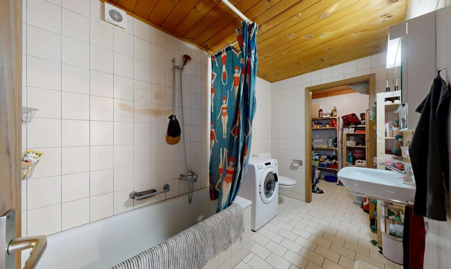 Fienile autentico da trasformare? Progetto immobiliare ad alto potenziale - Foto 10 di 11