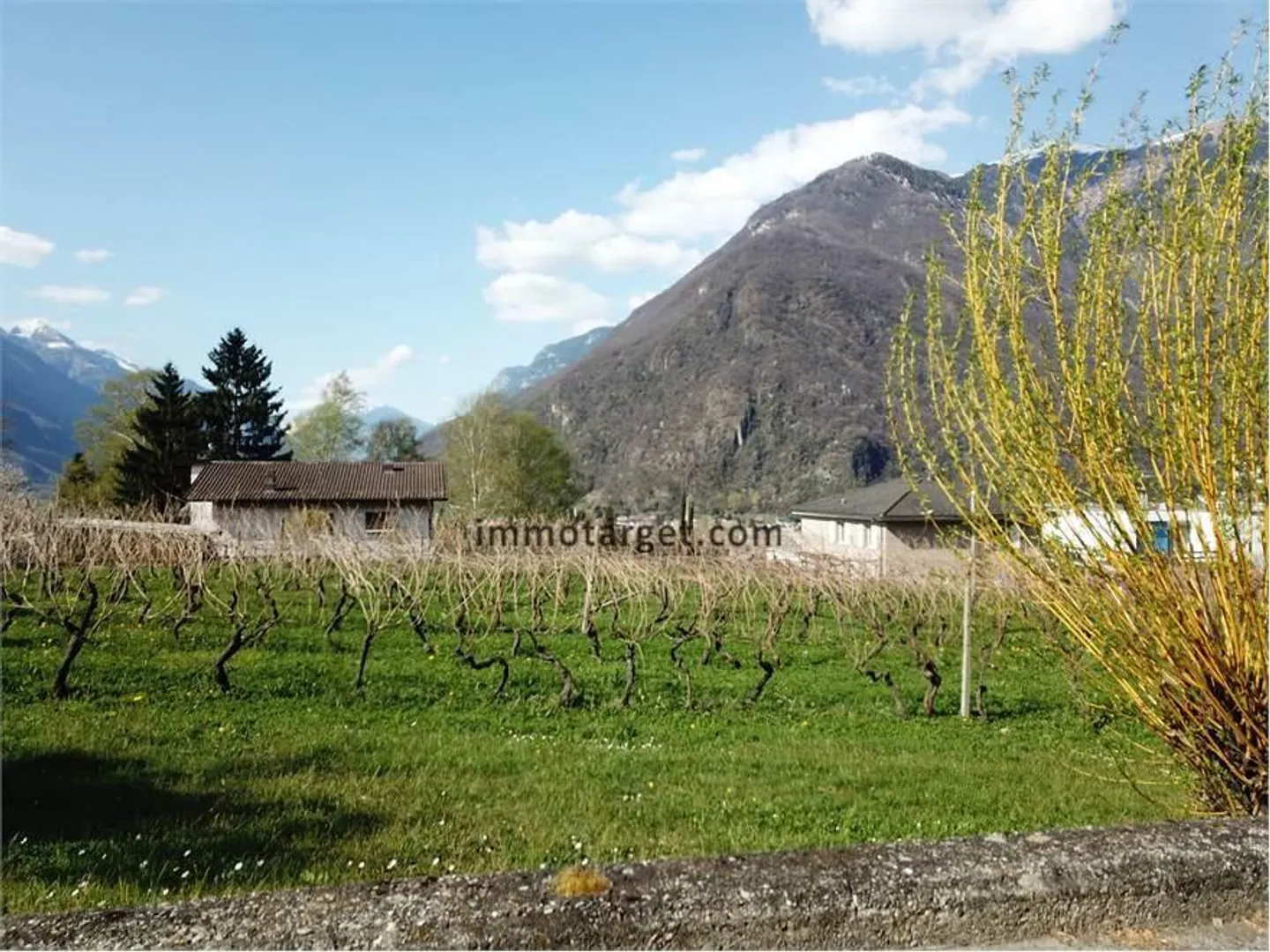 Terreno edificabile soleggiato - Foto 1 di 3