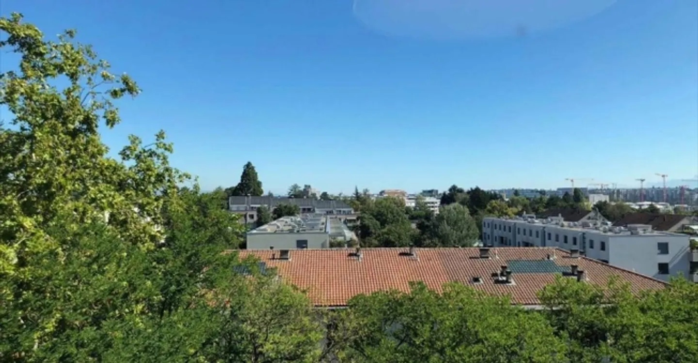 Spazio ufficio in affitto - Foto 4 di 4