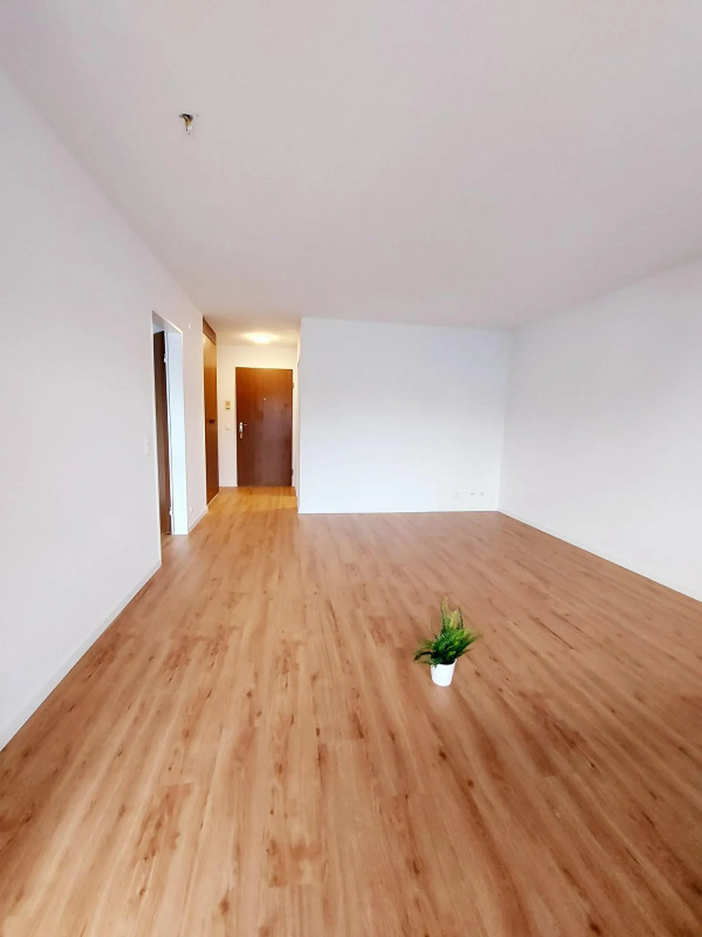 Bella appartamento di 2 stanze con grande balcone - Foto 2 di 8