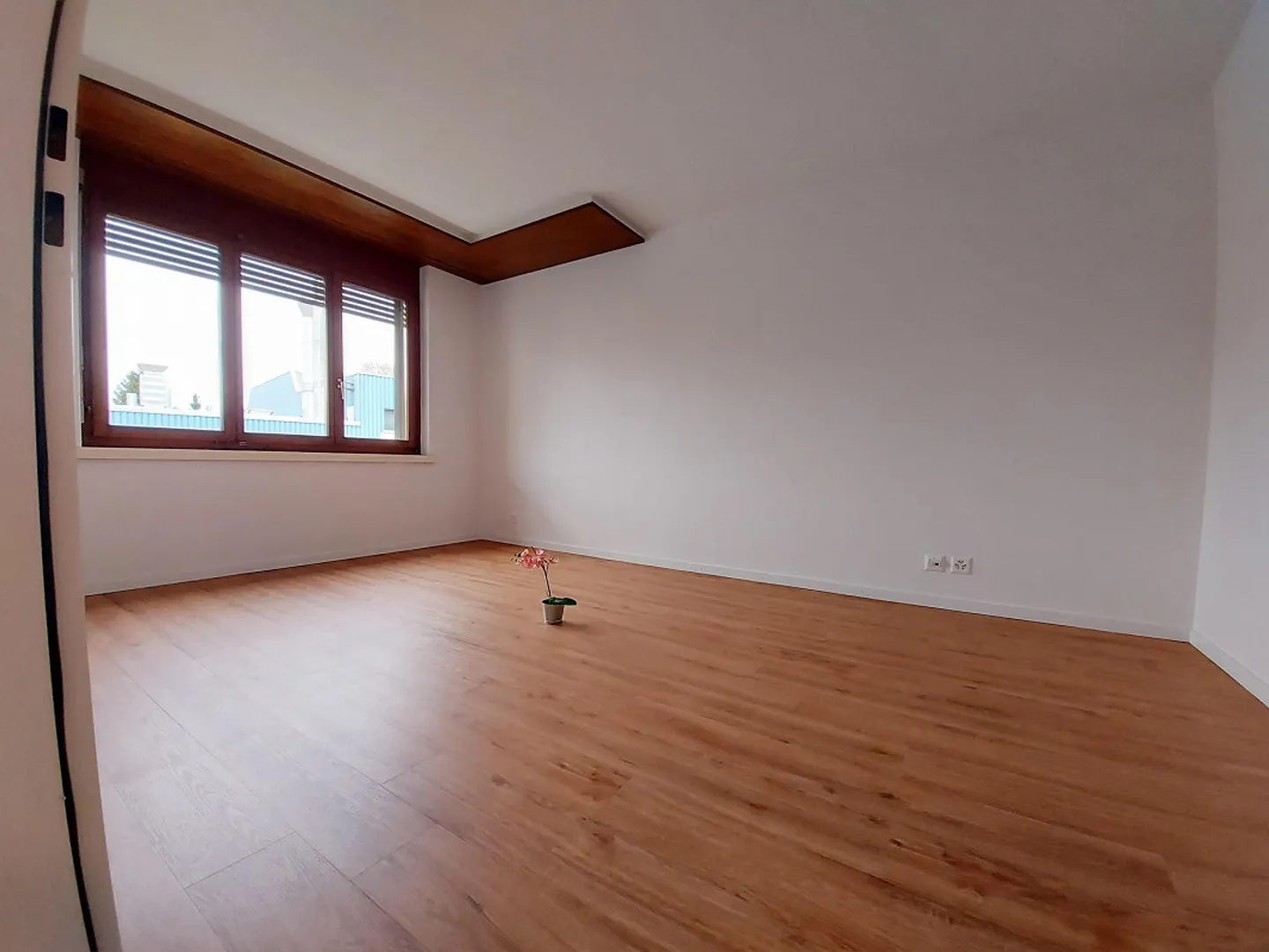 Bella appartamento di 2 stanze con grande balcone - Foto 3 di 8