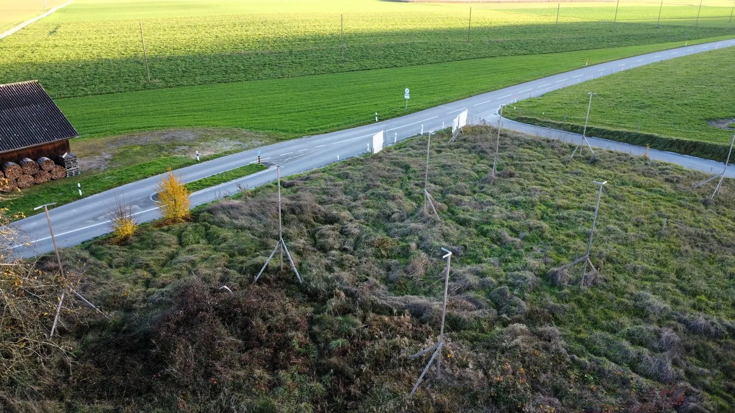 Vie moderne à Buechibärg - Photo 7 sur 13